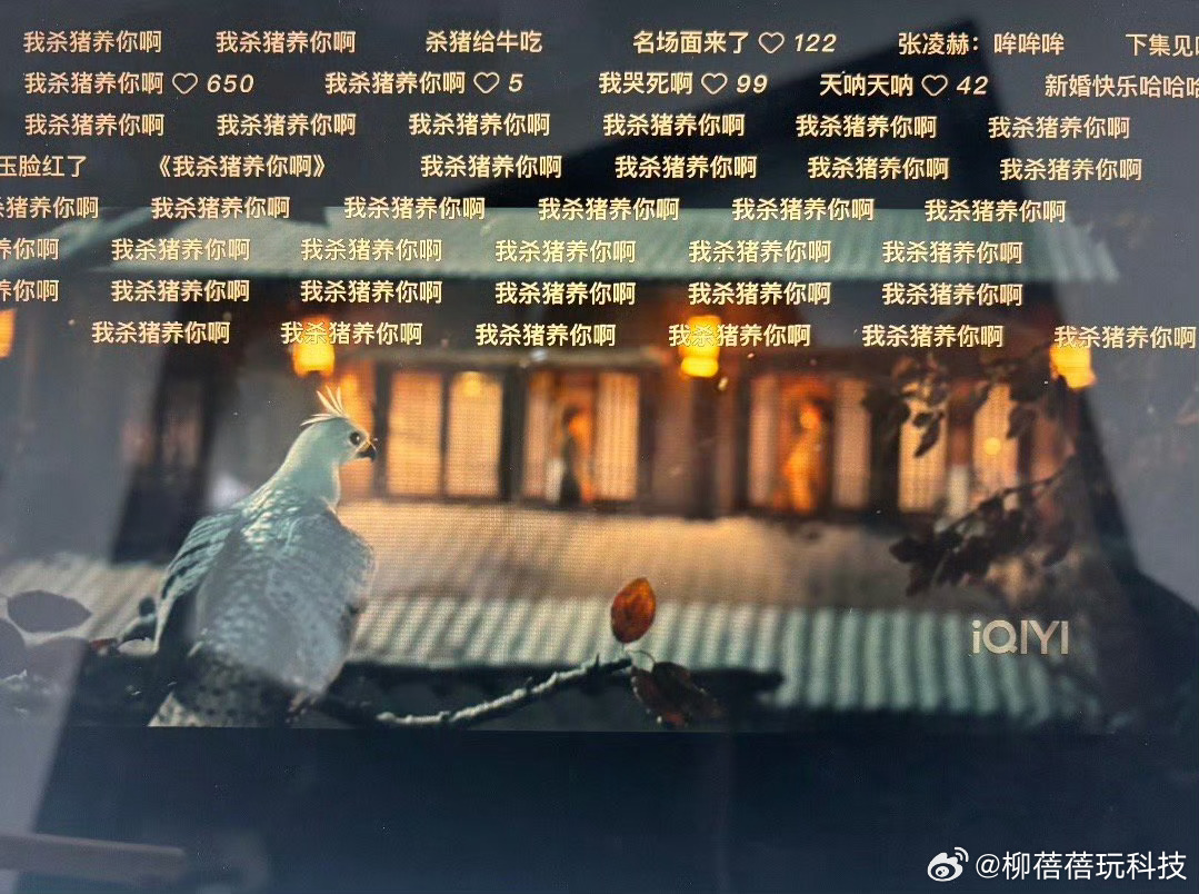 被逐玉惊喜到了，不仅数据能打，剧情人设都很戳人，看得特别过瘾 逐玉首日云合