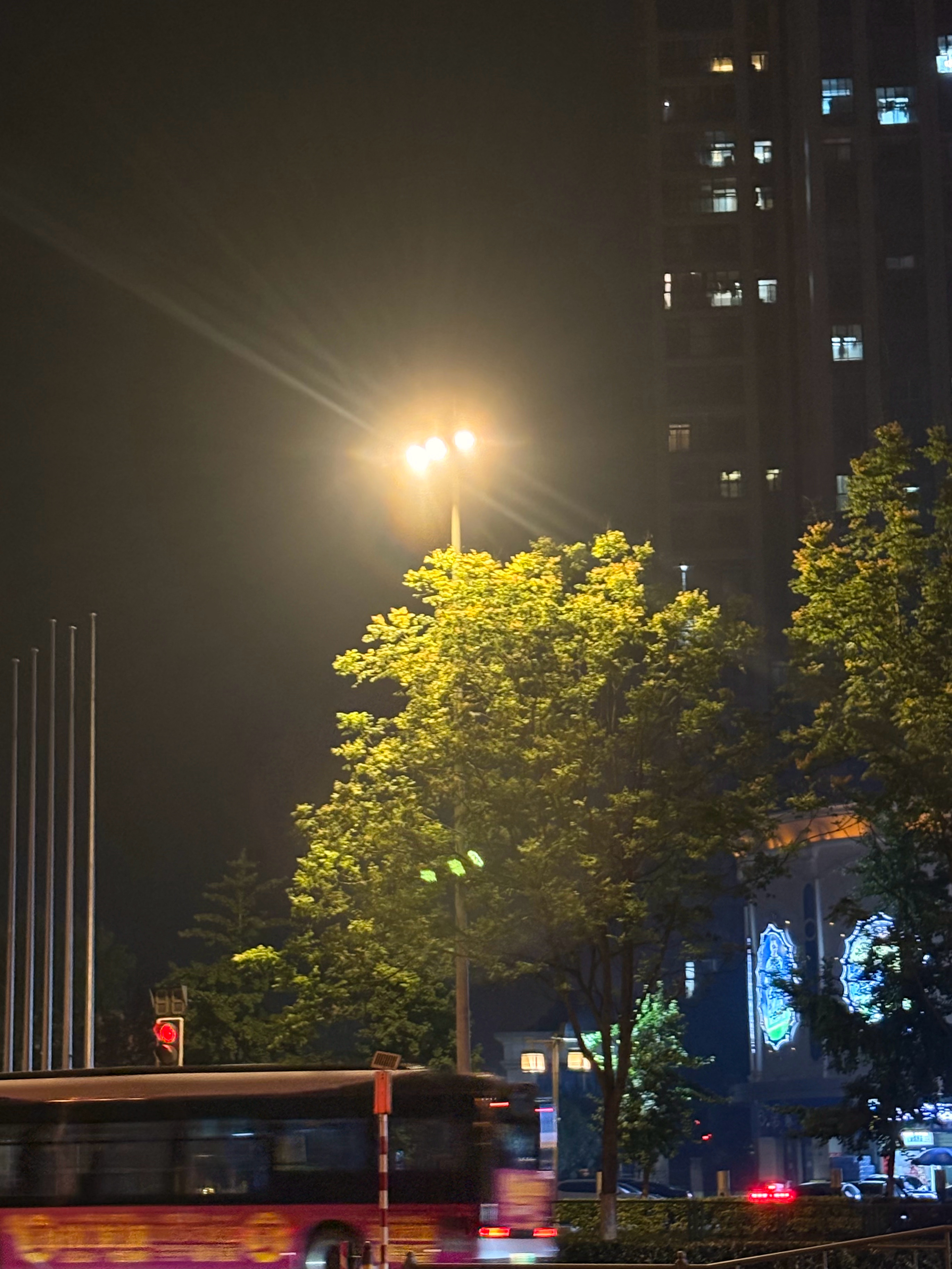 好喜欢有暖色调路灯的街道真的很安逸自在 走在这条街道上都觉得好幸福好幸福 