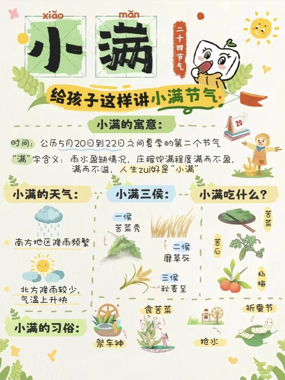 小满节气知识科普，陪孩子一起了解中华传统文化~小满 今日小满