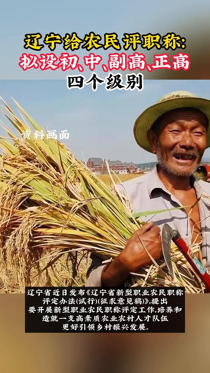 辽宁给农民评职称，拟设初中、副高、正高四个级别。
辽宁省近日发布《辽宁省新型职业