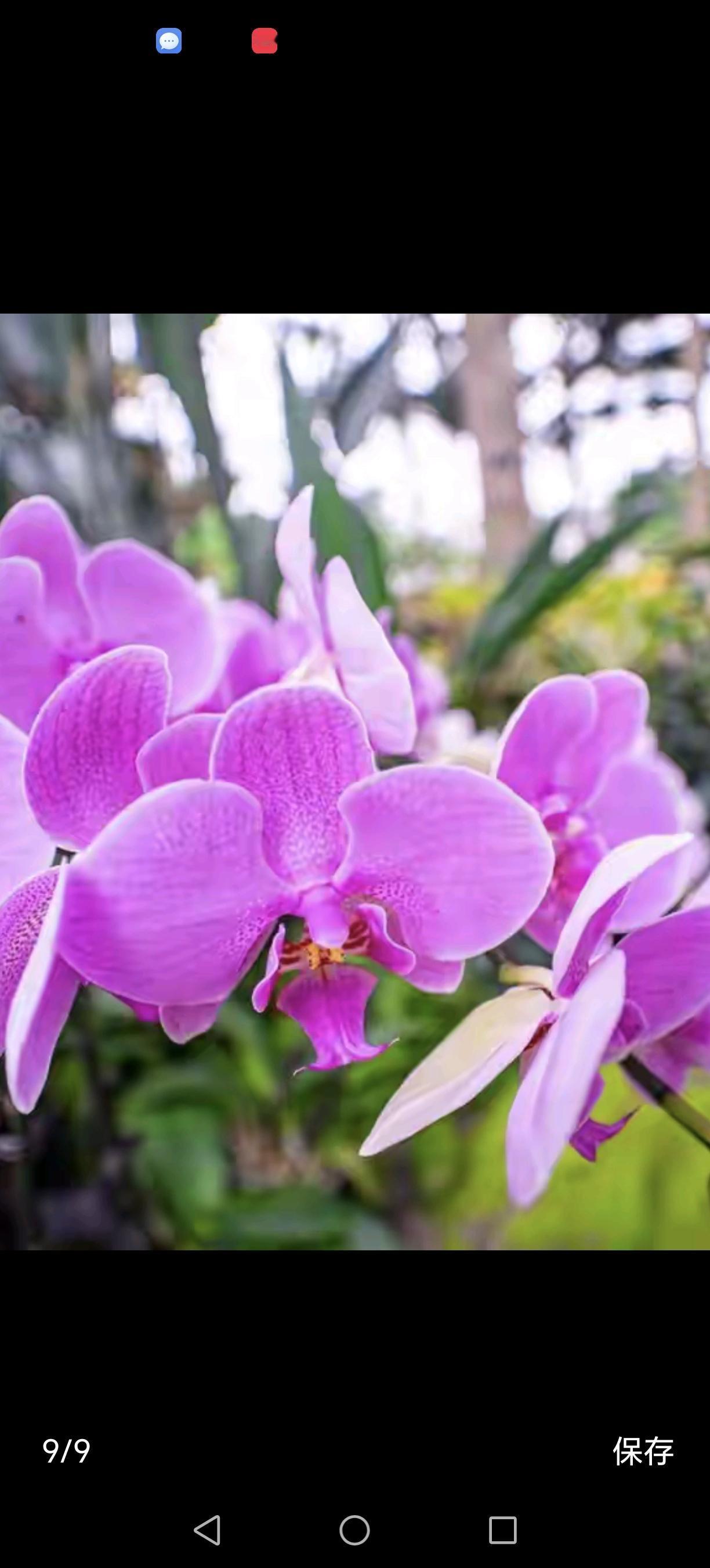 。。。张桂梅校长                                