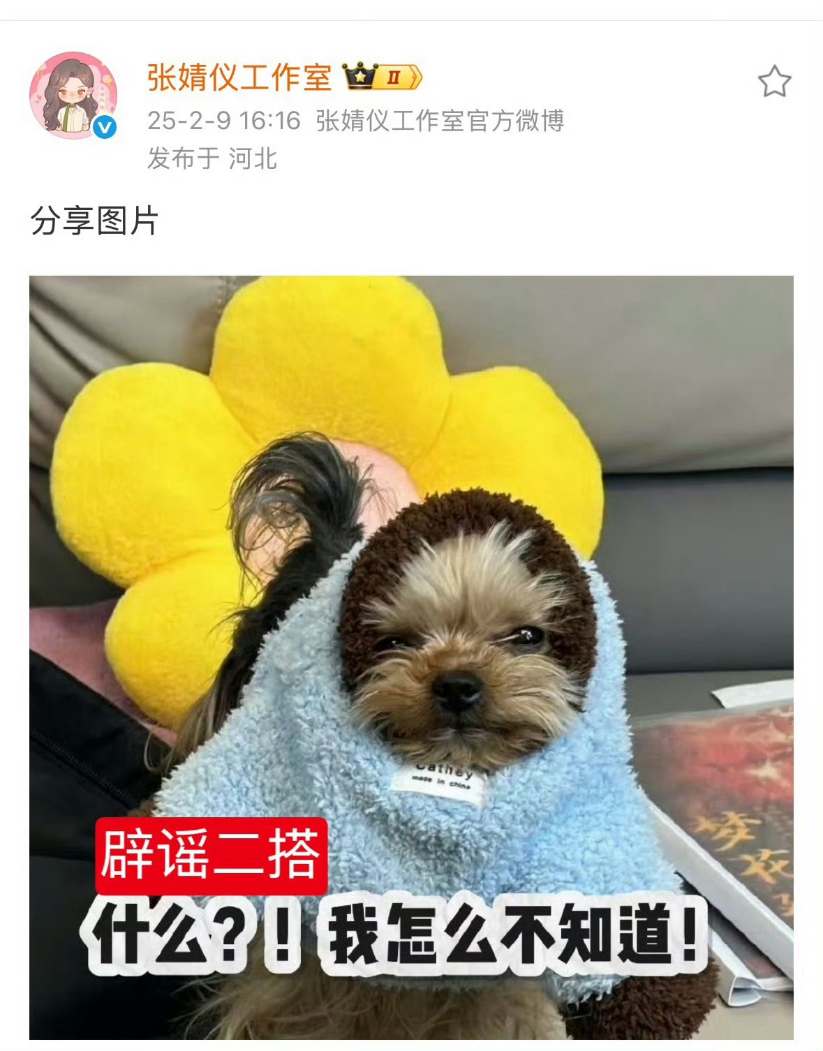 刘大锤近期直播聊陈飞宇张婧仪，称女方工作人员曾和他同事爆料张婧仪被陈飞宇分手后很