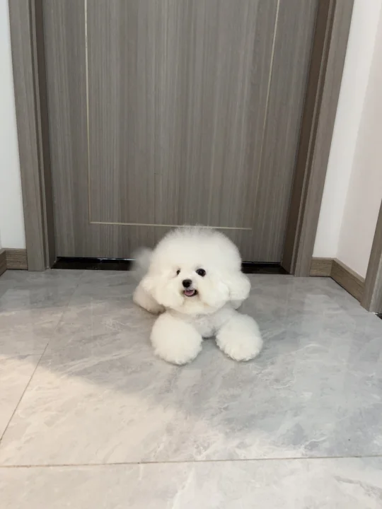 这么可爱的宝宝我有三只！