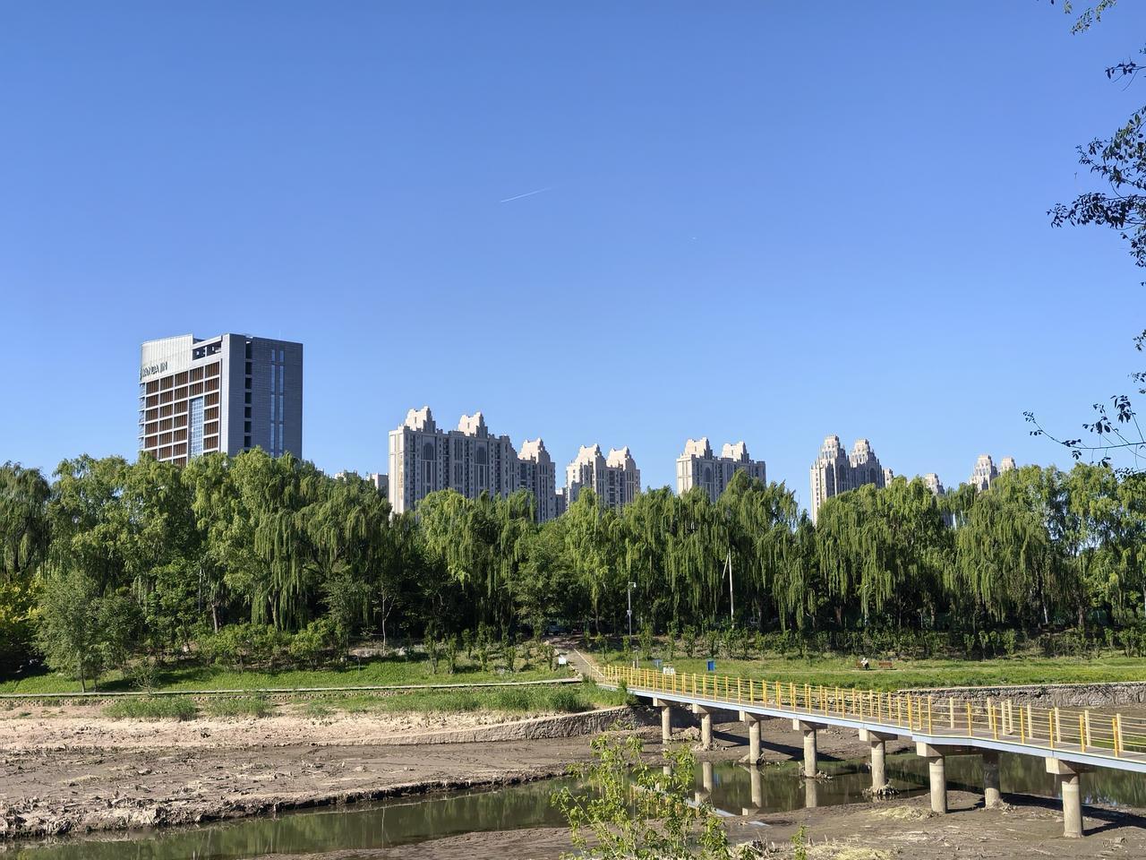 今日分享随手拍照片不知为什么此季洳河水放掉了？