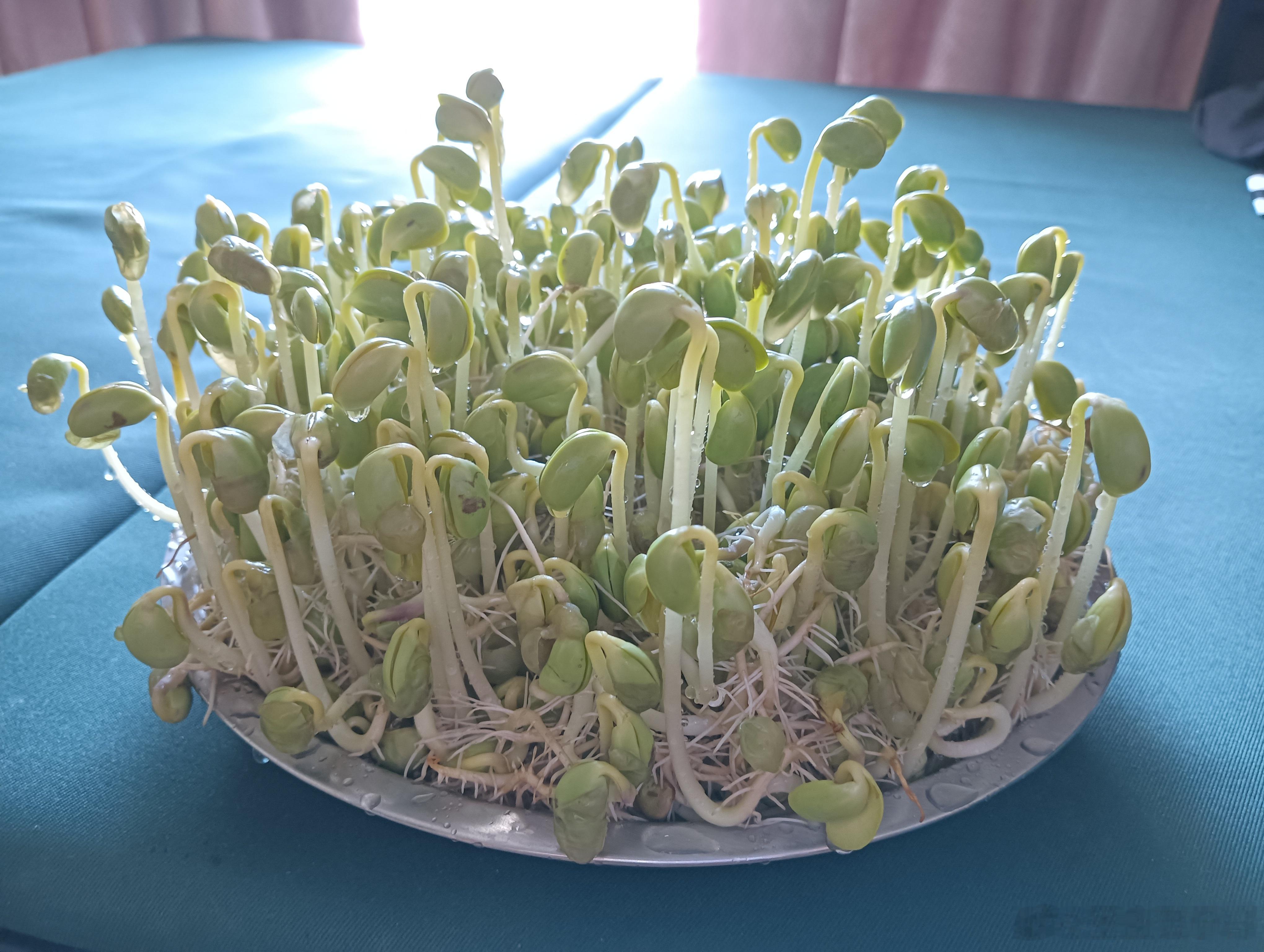 这样了还能吃的吧？？？ 