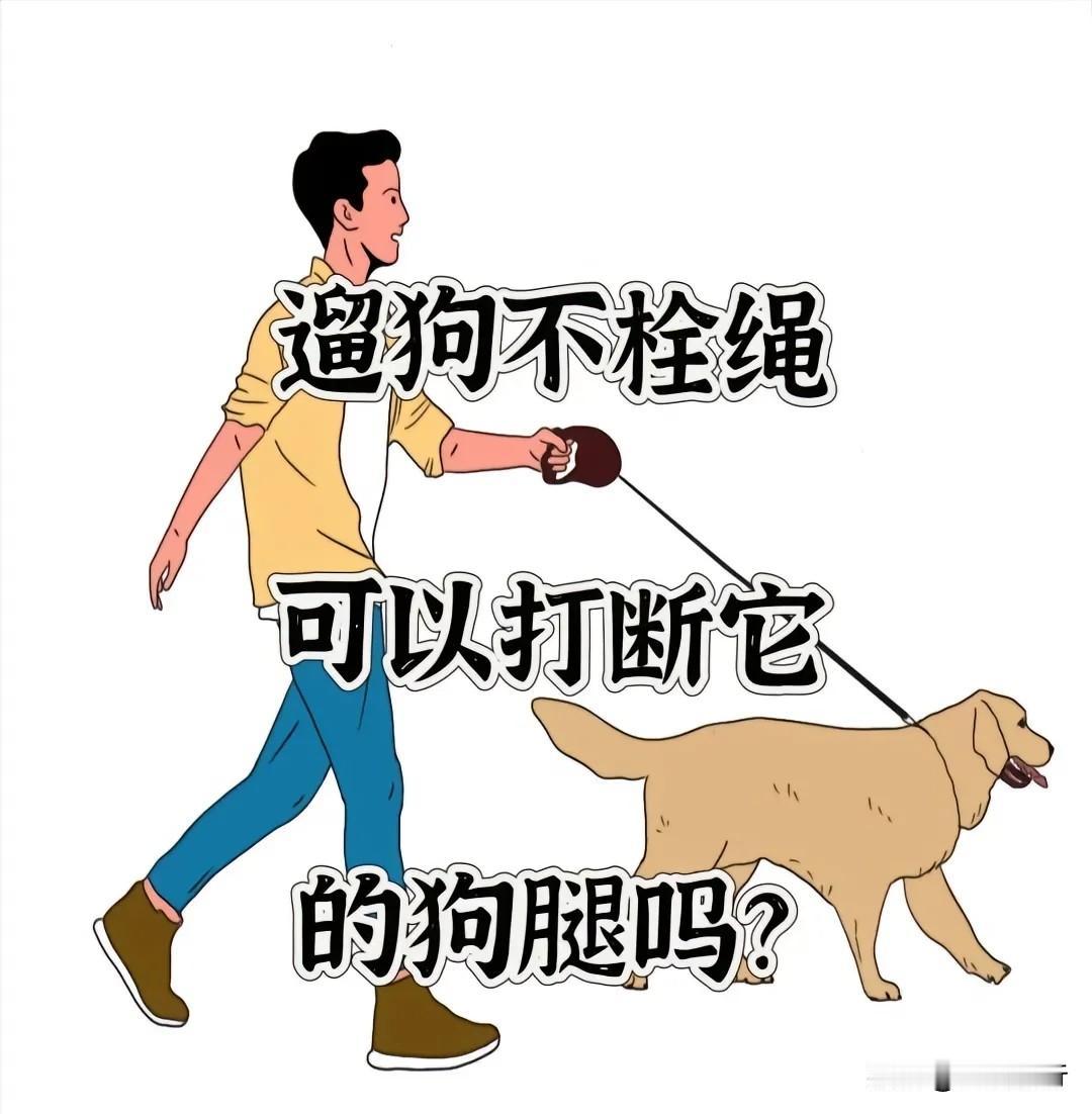 最新的好消息！
你是不是对那些遛狗不牵绳的人感到讨厌呢？现在对于那些遛狗不牵绳的