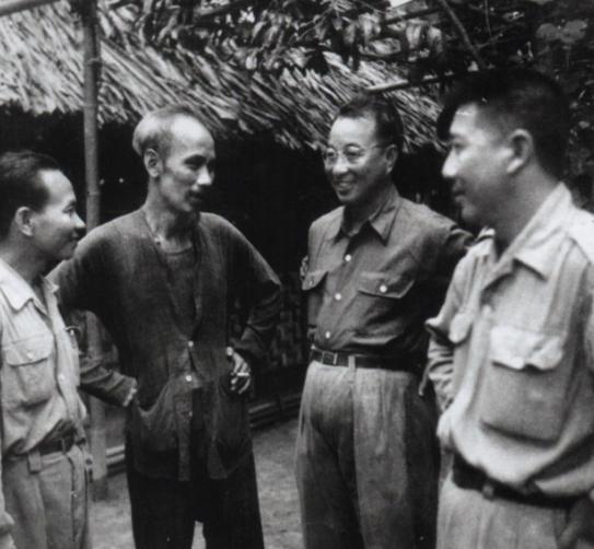 1950年的一个闷热午后，陈赓将军站在越南边境，望着眼前陌生的热带丛林，心里直犯