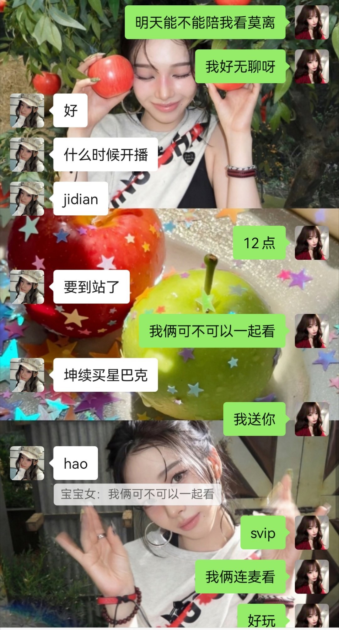 存档