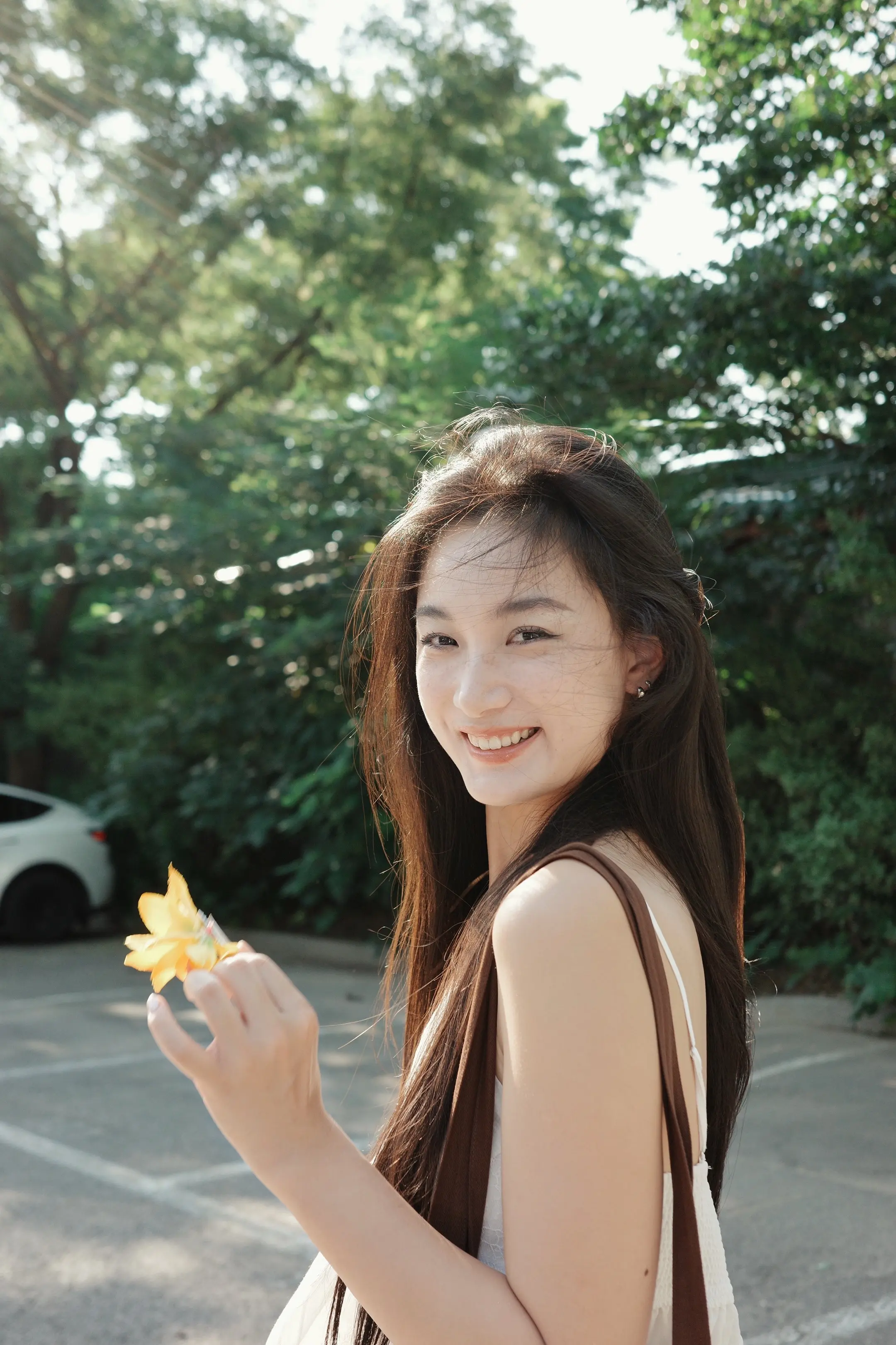 快快抹干眼泪 看昙花多美