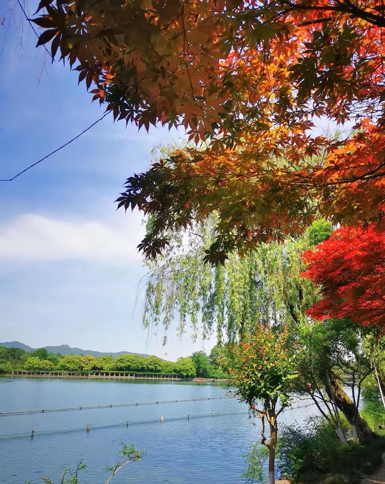 三首融合生活哲理的散曲：

一、《双调·沉醉东风》减字谣
（起）四十载风雨看饱，