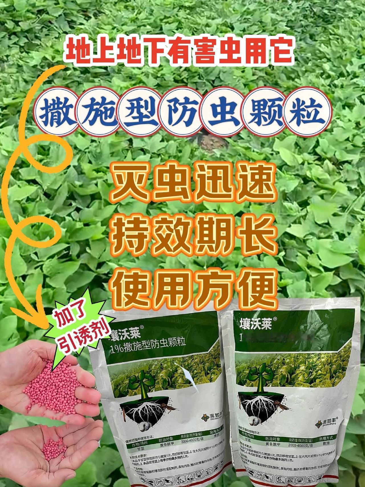 #地下害虫防治#防虫小妙招 🎈【农业种植的防虫颗粒，虫害克星它来啦】🎈
在农