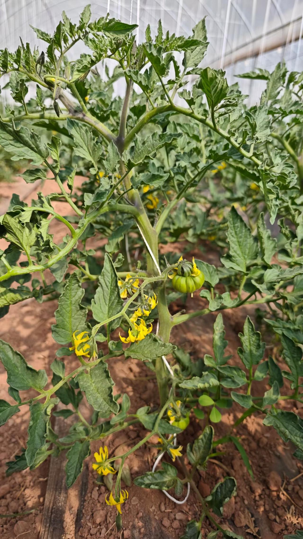 冬日生活打卡季暖暖～