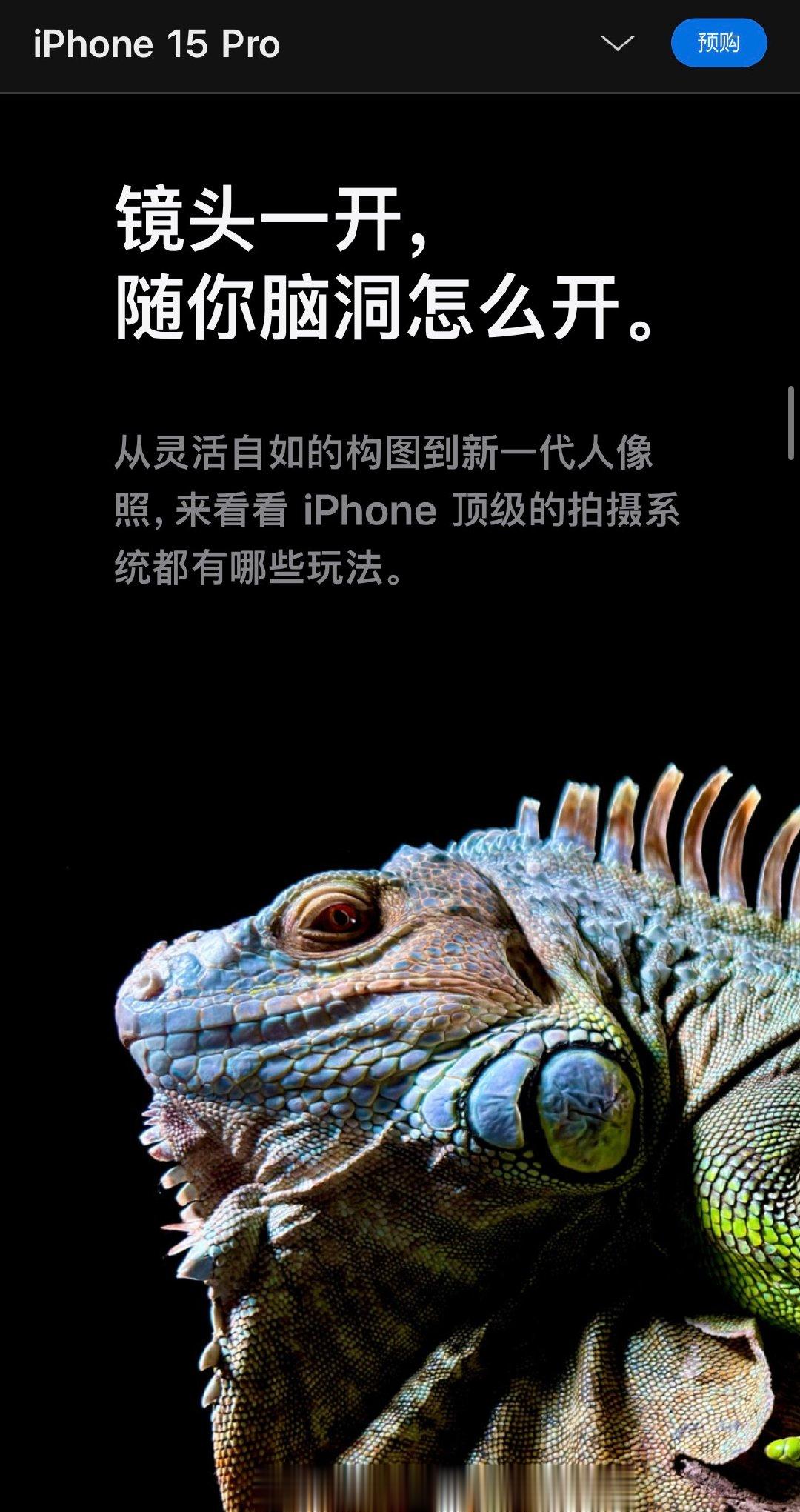 分享图片 ​​​