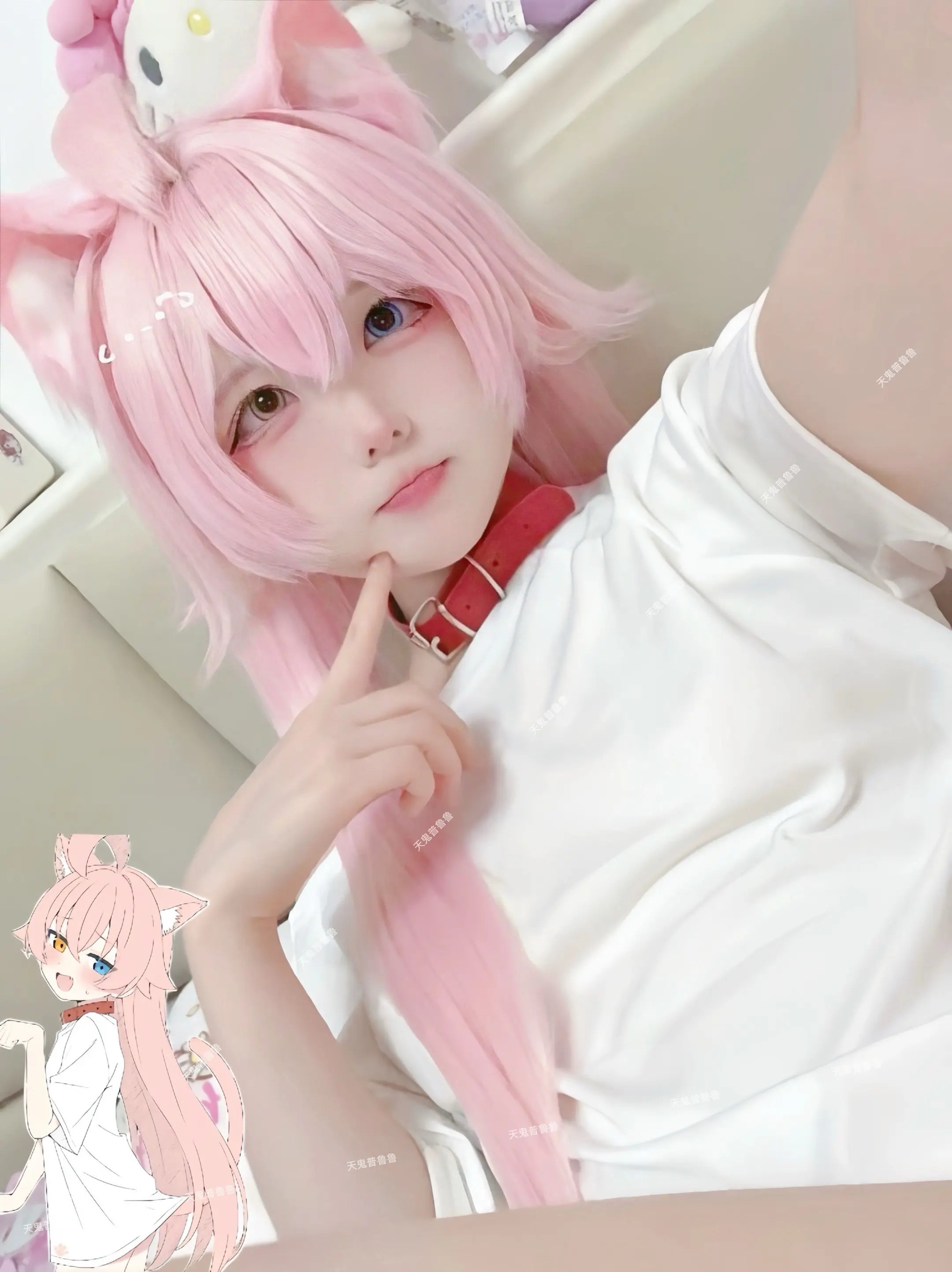 星野猫猫喵ᗜ𖥦ᗜ。