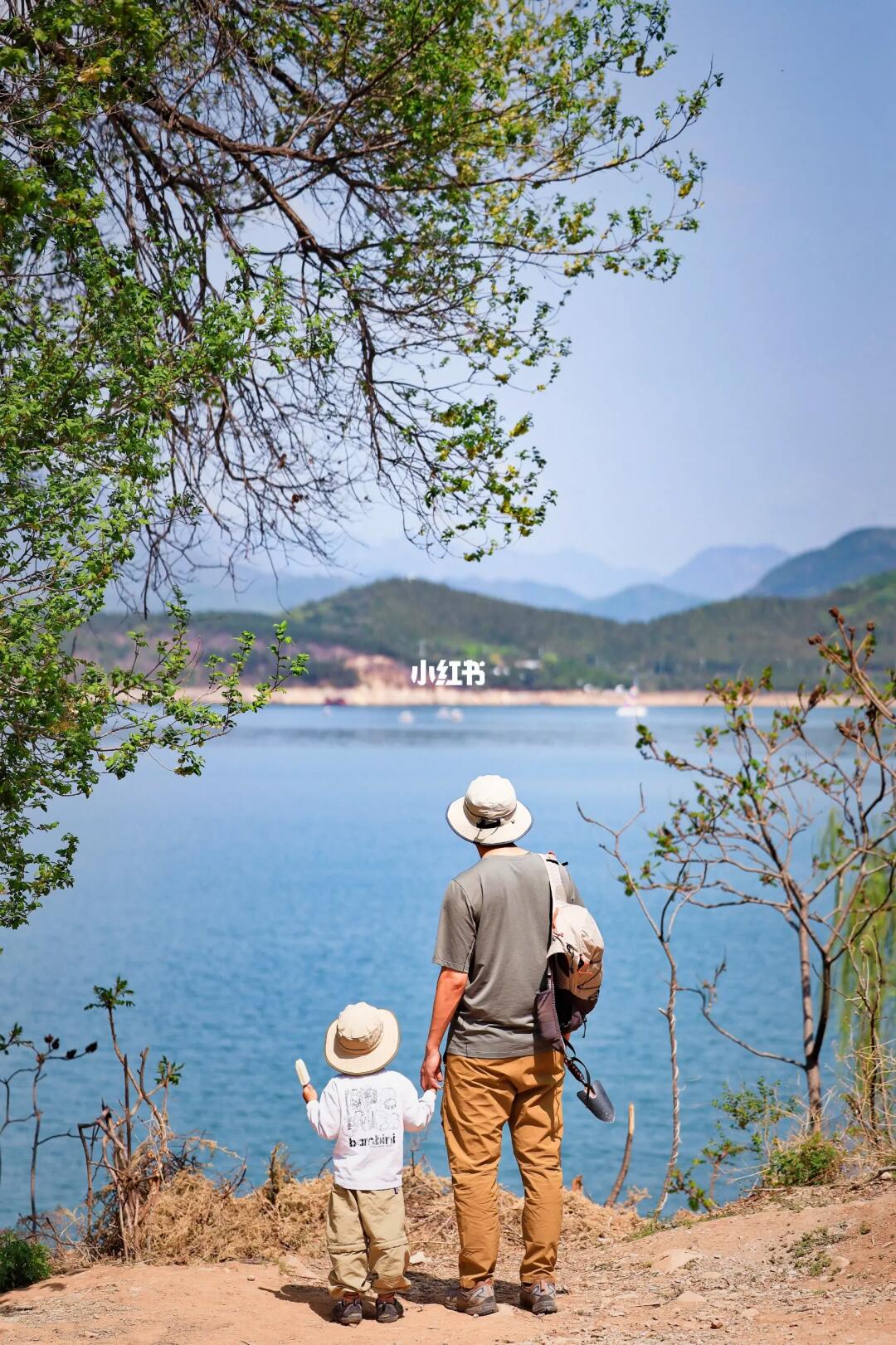 这里露营看“海”、徒步登高太chill了