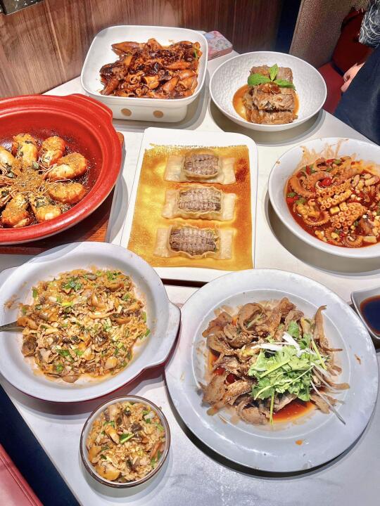 去天津会反复吃的店❗️