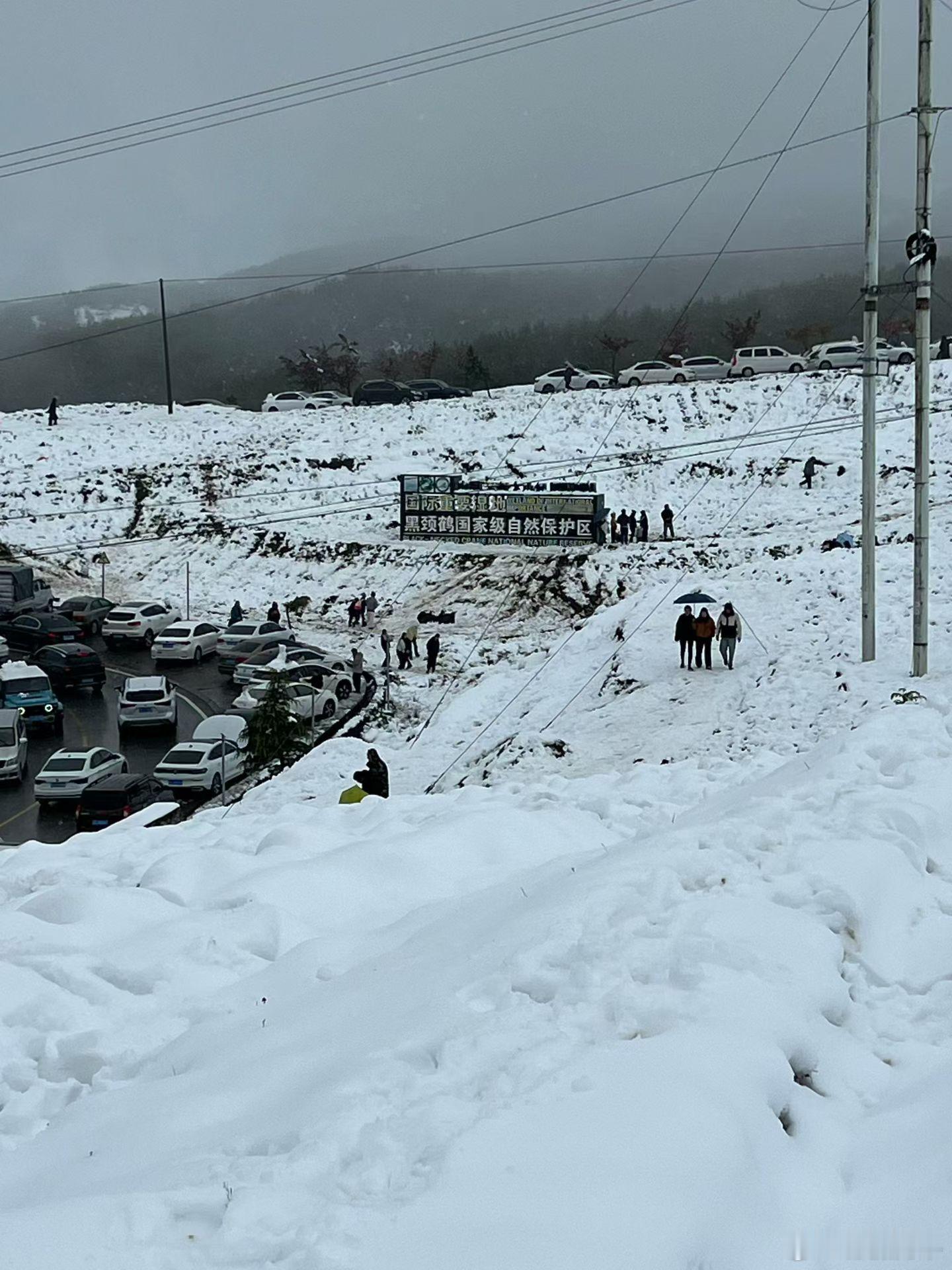 旅居云南避暑昭通 云南人的浪漫，一年四季的风花雪月～ 昭通·大山包黑颈鹤国家级自
