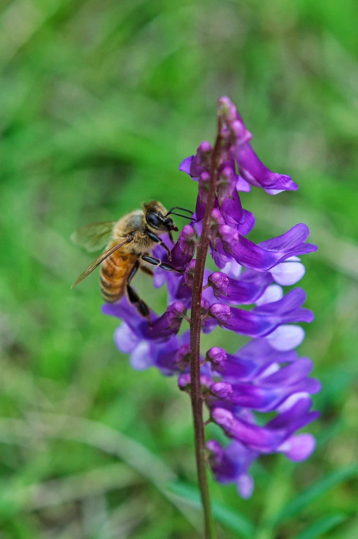 春风拂过，万物温柔，每一寸春光都值得好好珍藏✨ 把日子过成诗，在春日的小美好里，