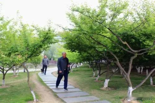 过了60岁，别再乱补了！做好这几件事，身体舒服少生病
 
人一过60岁，身体机能