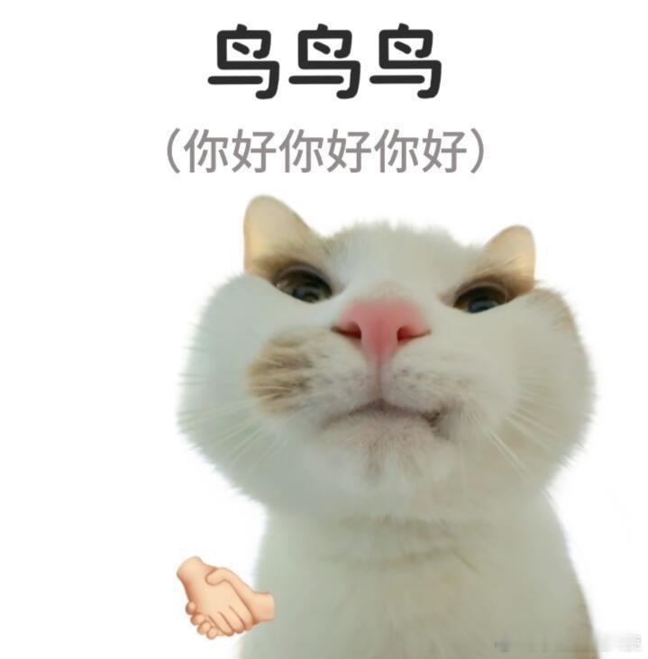 中国人有自己的连读技巧。 ​​​