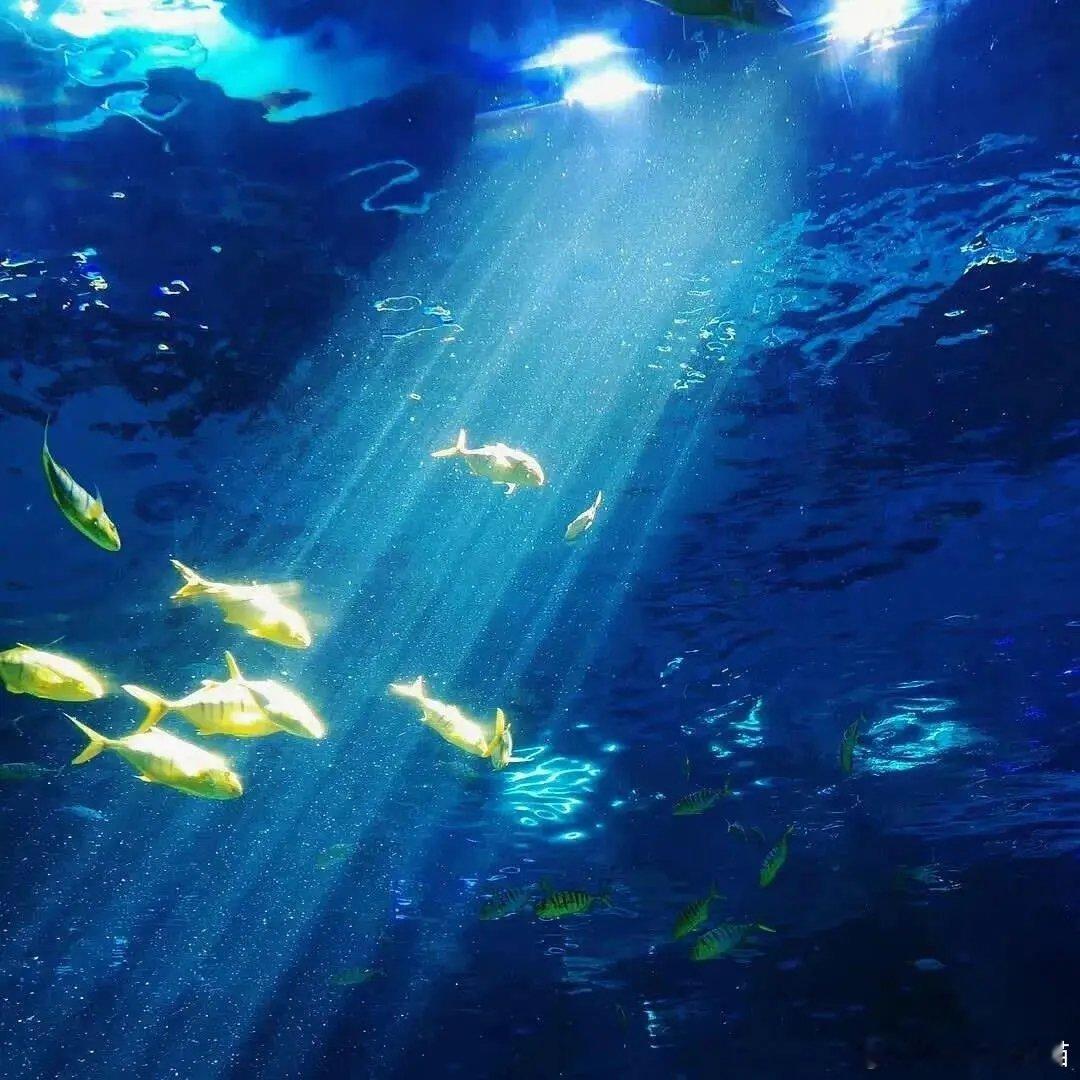 手机壁纸｜朋友圈背景图「你好啊！你真棒！」 