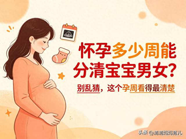 怀孕多少周能分清宝宝男女？别乱猜，这个孕周看得最清楚