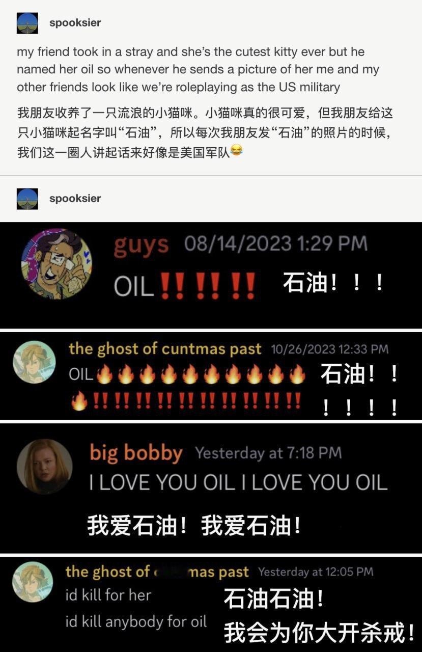 我朋友收养了一只流浪的小猫咪。小猫咪真的很可爱，但我朋友给这只小猫咪起名字叫“石