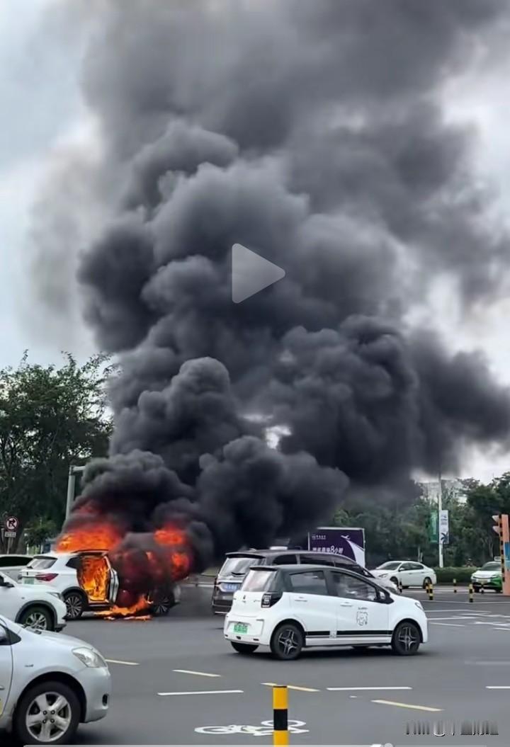 三九寒冬，电车自燃也是醉了！

有人说：“电车只要自燃无需119救援，只需通知保