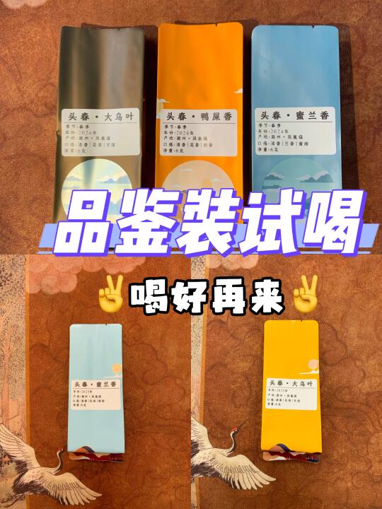 单丛口粮茶品鉴试喝装，换茶啦❗喝好再囤