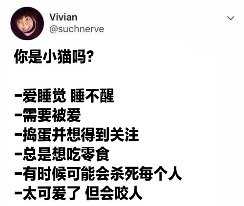 你是小猫吗？ ​​​