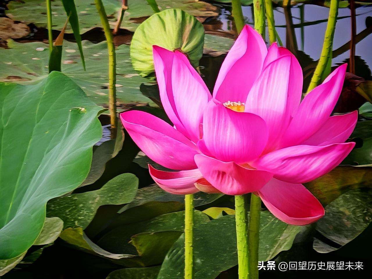 夏日生活打卡季