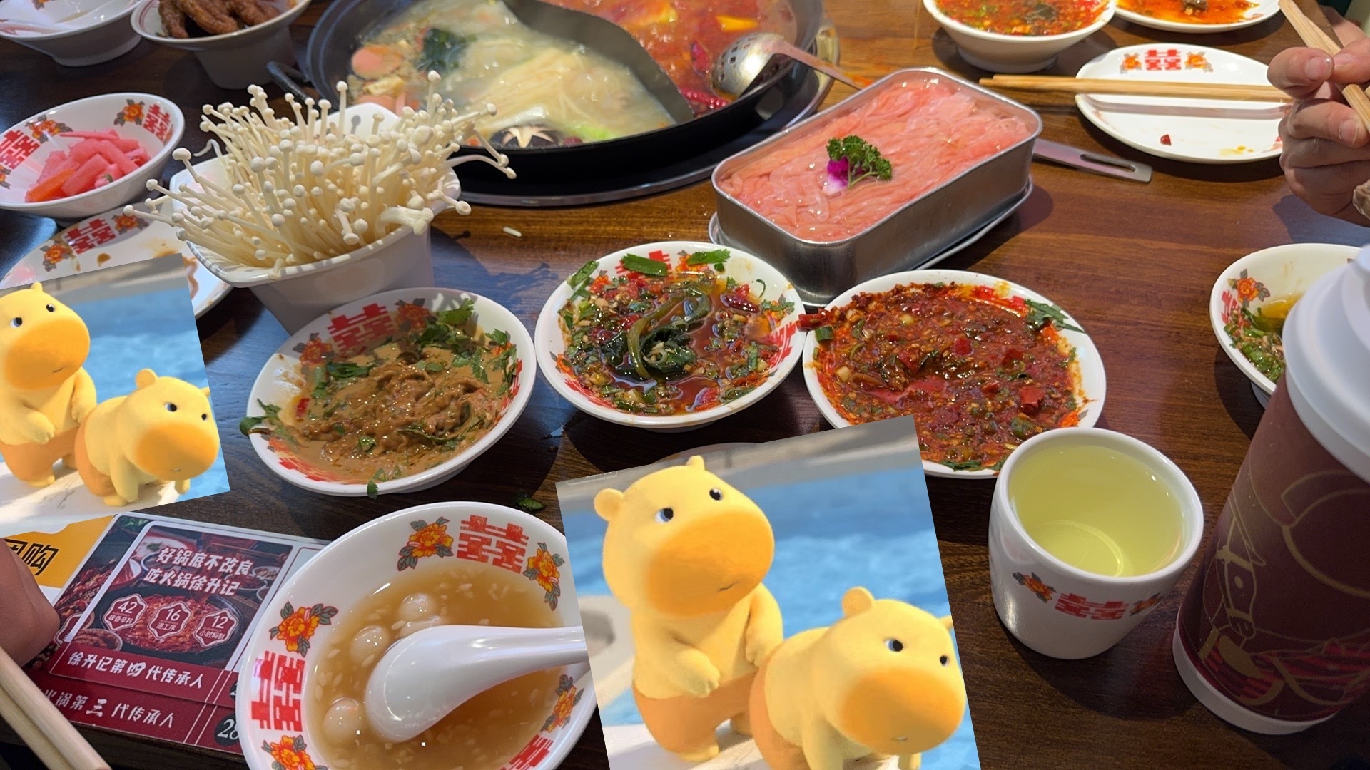 虞书欣  我们老吃家火锅沾碟就是如此的多