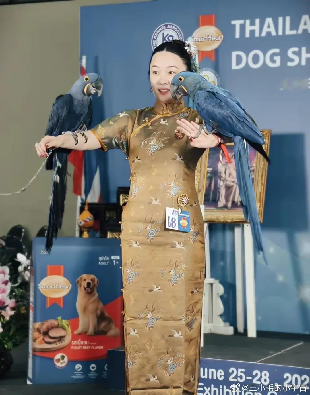 霍思燕家的鸟也好争气！ 