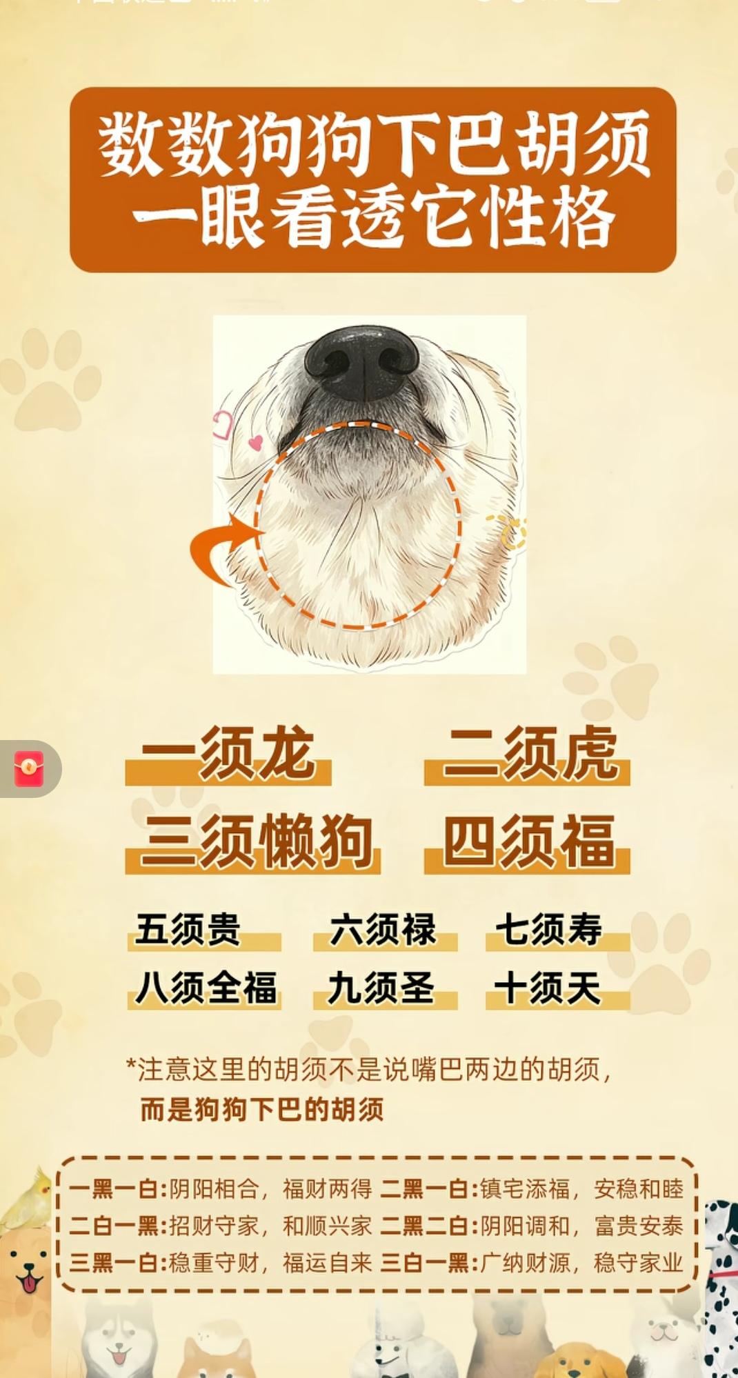 我们福建买狗会数一数小狗狗下巴上的毛，据说是自古流传的相狗经。
   民间数狗下