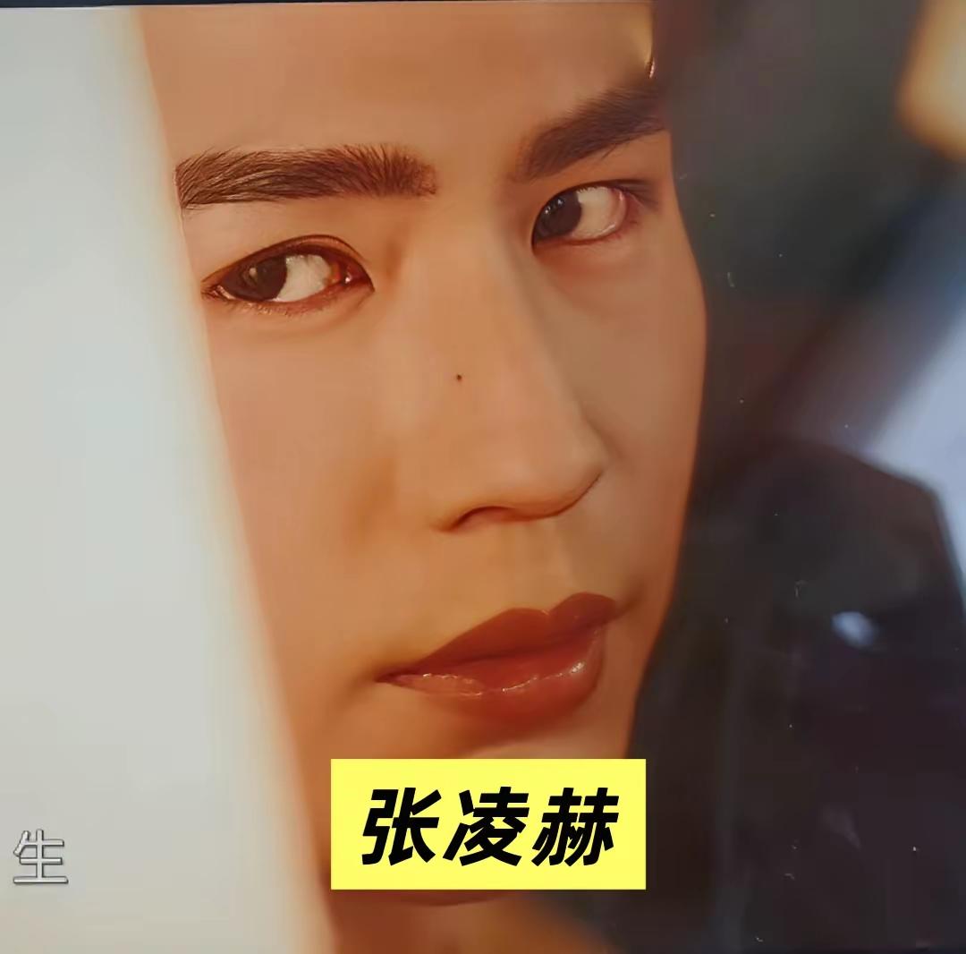从右边稍侧一点的角度来看，张凌赫的这个侧面和单立文的相似度达到了70%，都有着深