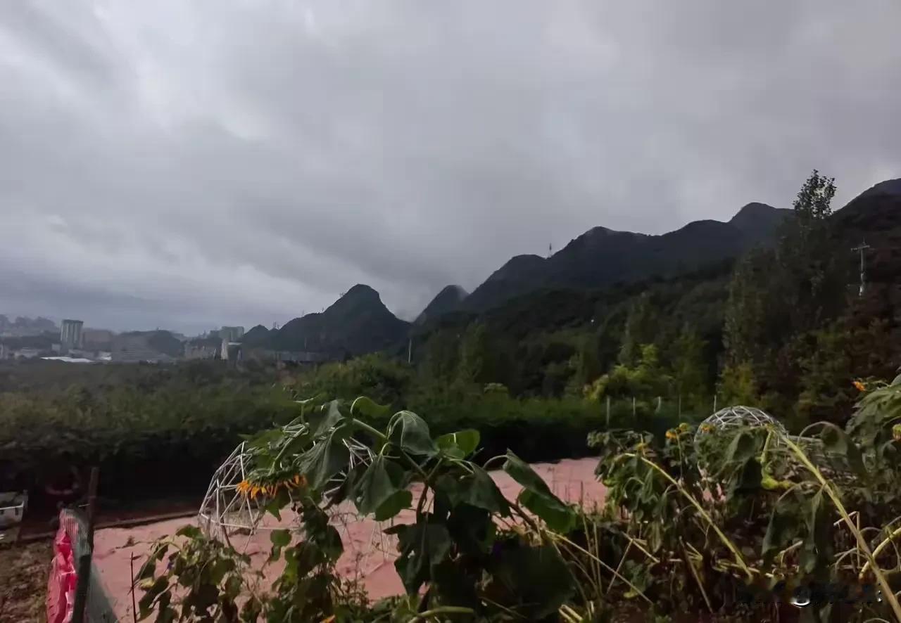 那个让你乱了心的人，是来渡你的

你有没有遇见过这样一个人？他出现之前，你日子安