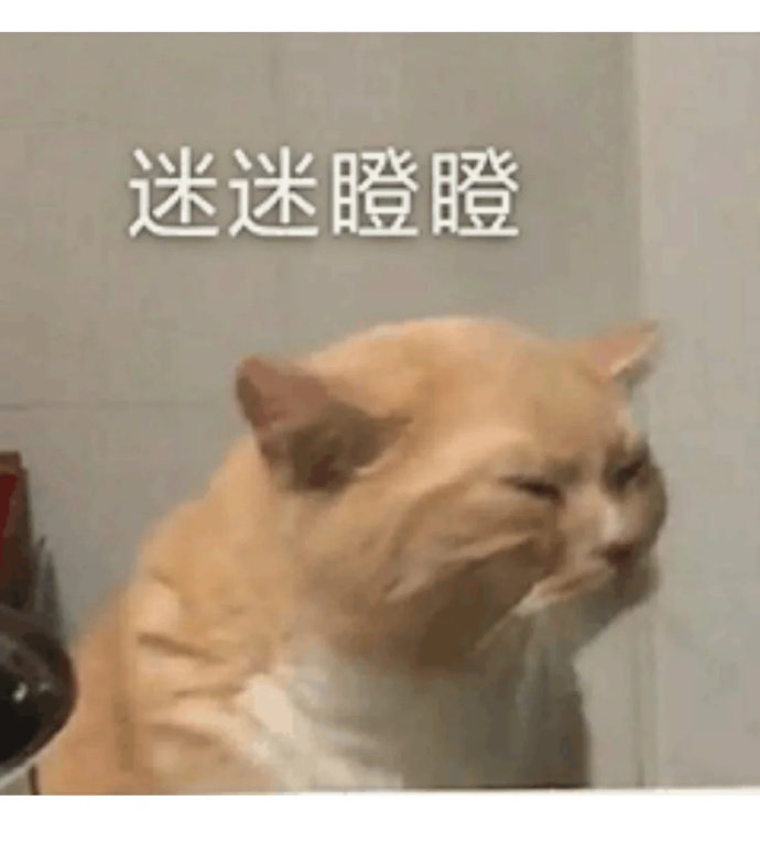 你骂我，那是因为你不了解我。了解我的人都想打我。 