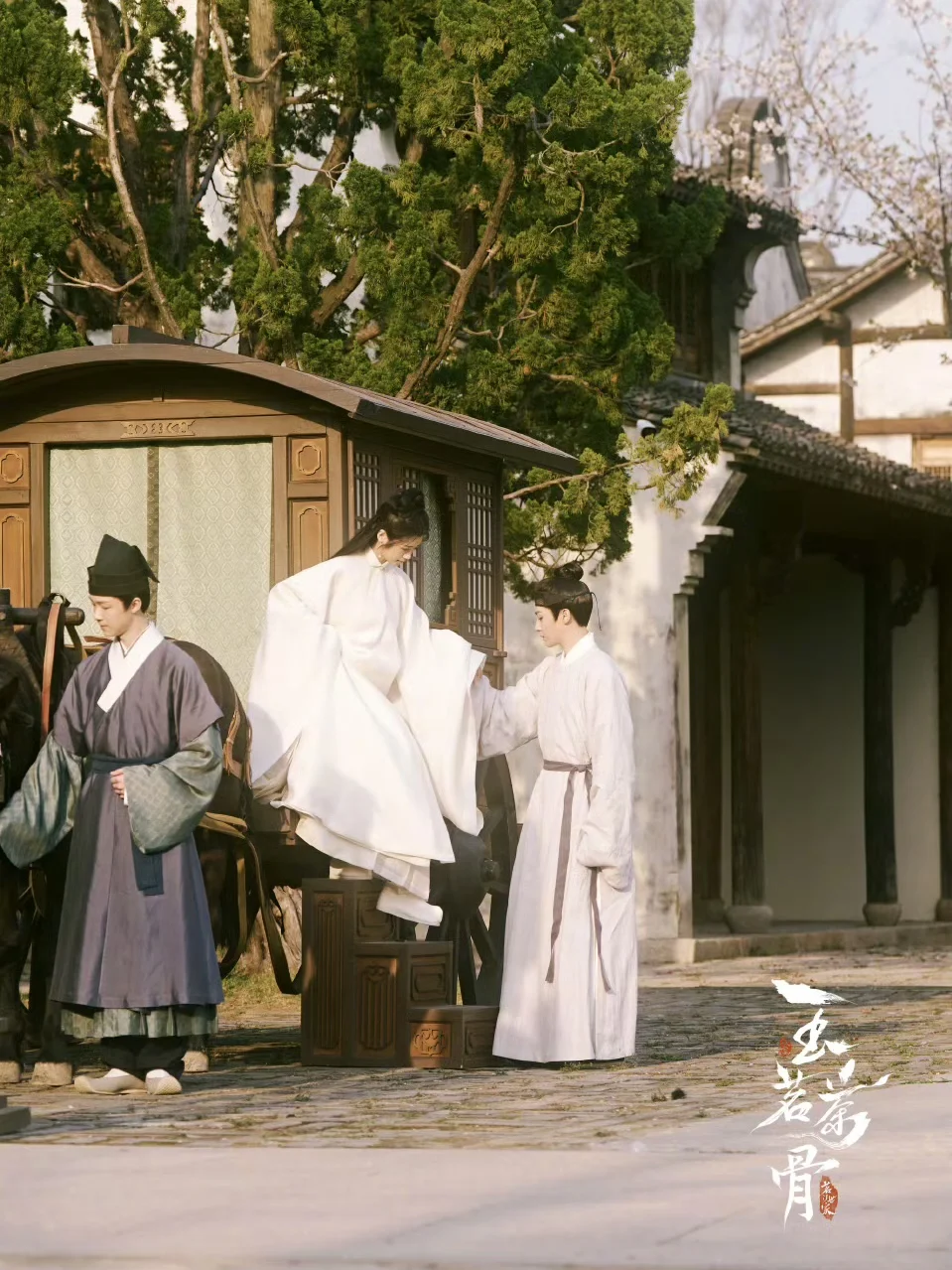 吗呀绝了‼️直接追了九集‼️