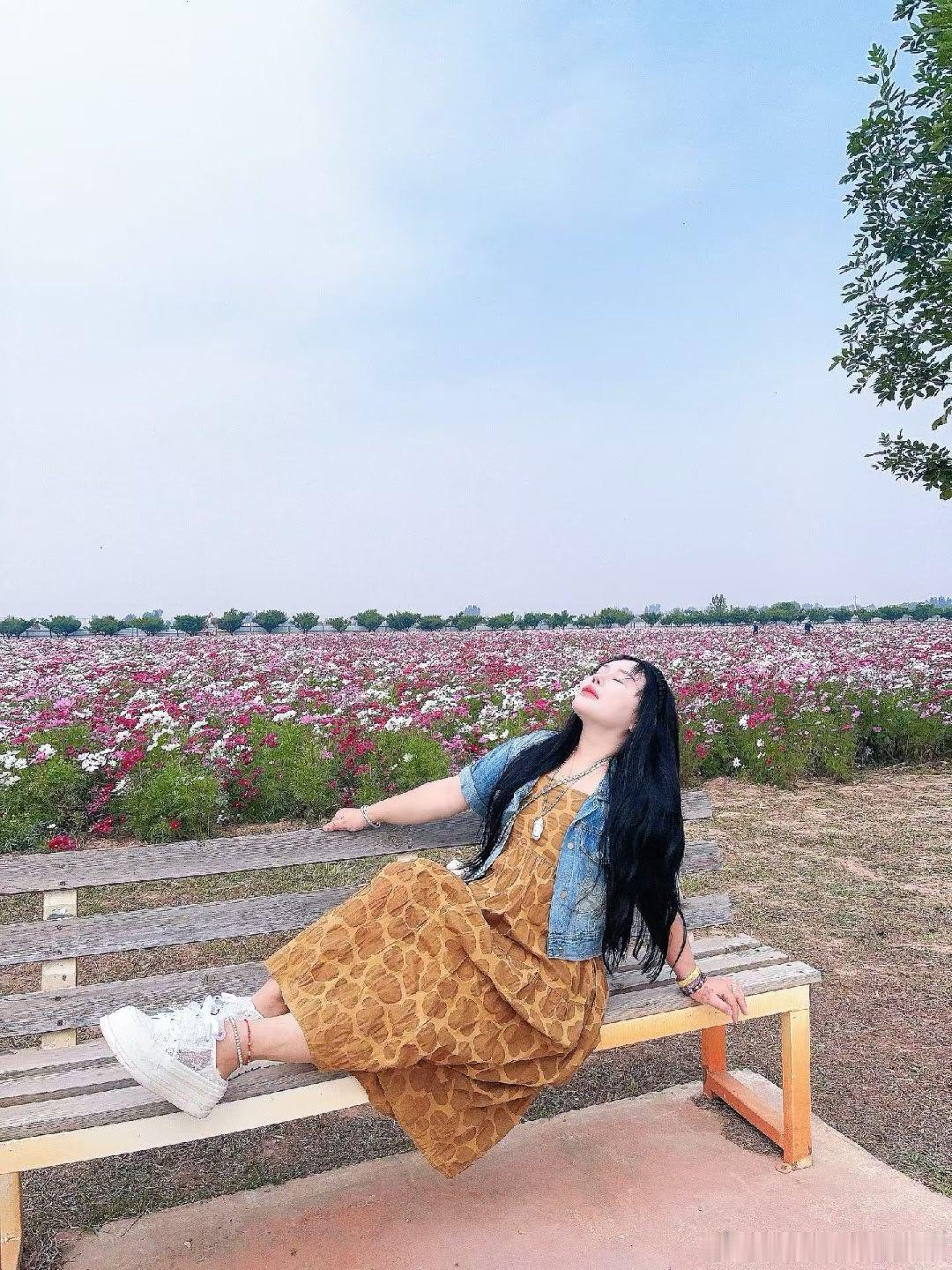 秋曰份·花海Autumn begins🍂  ​​​