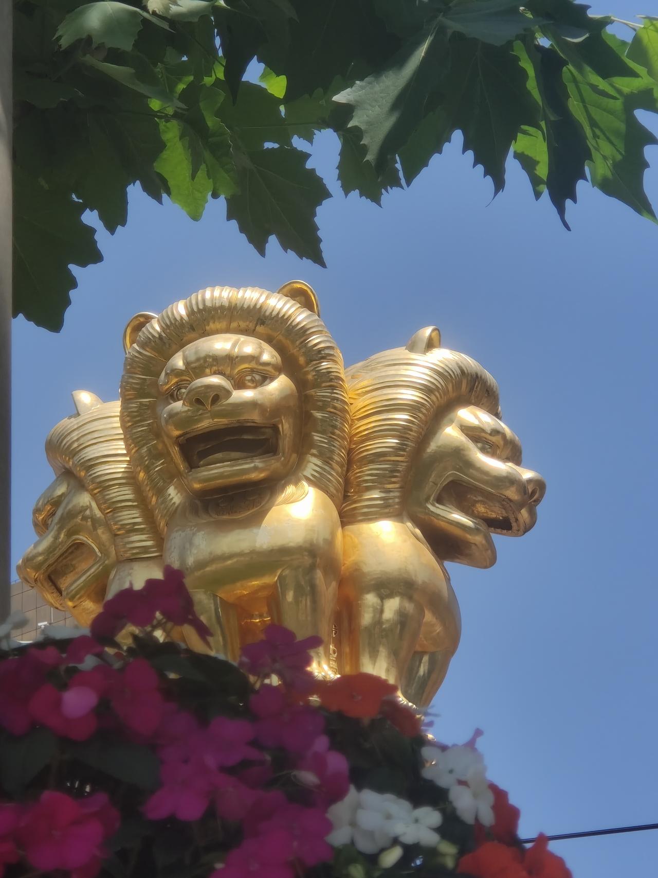 心静方能岁月安然！