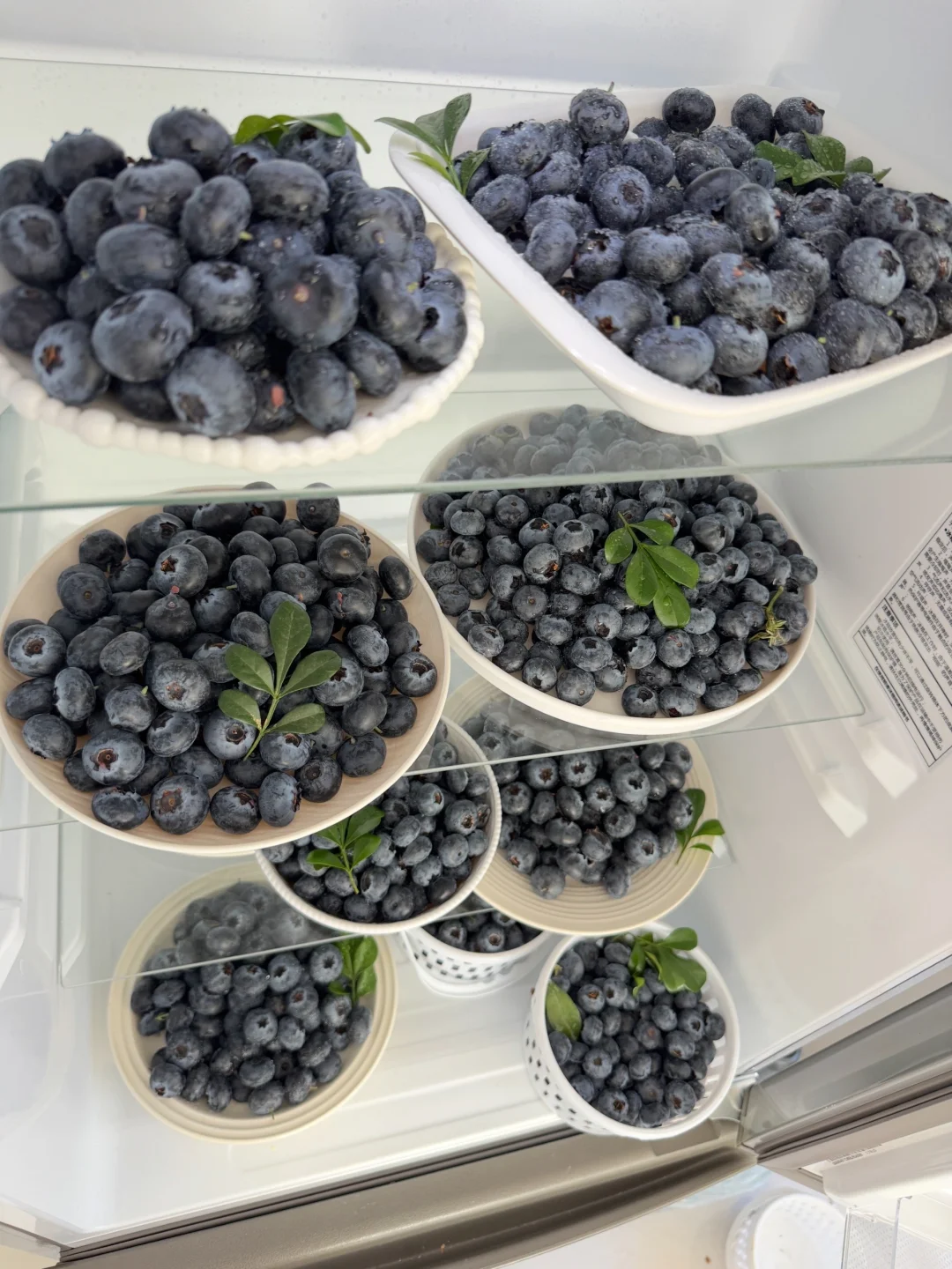 花香蓝莓进入中后期了哦，错过就等明年了！