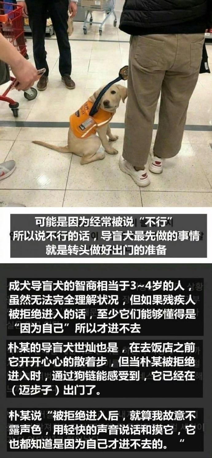 狗狗明白可能是因为自己才会被拒绝的 ​​​
