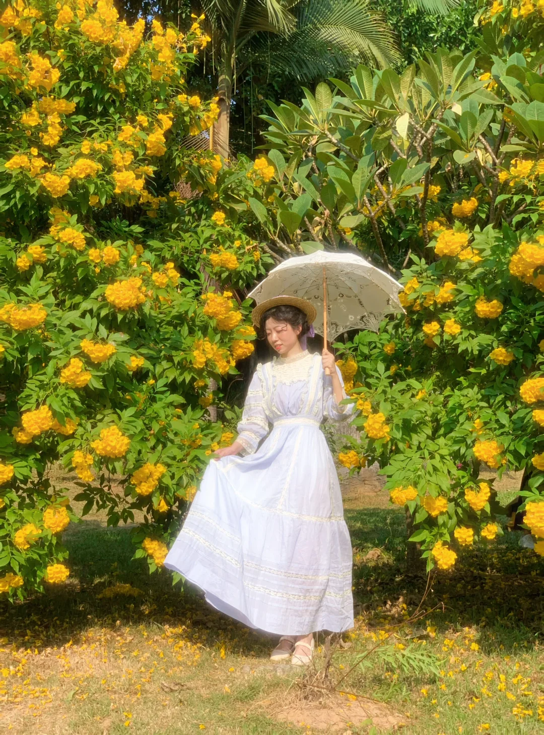 拍到了秋天氛围感的小黄花💐东莞写真