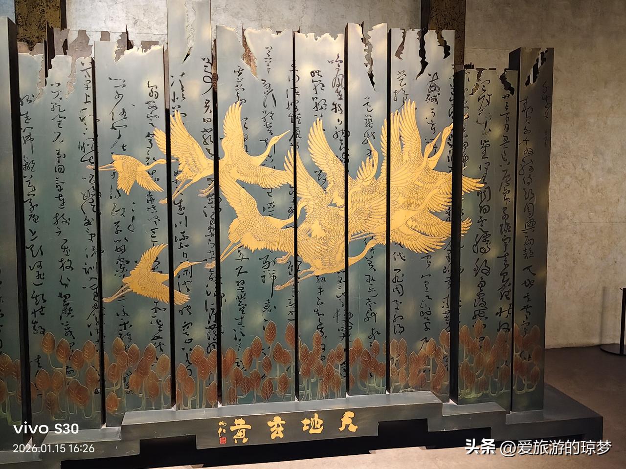 随手拍张照