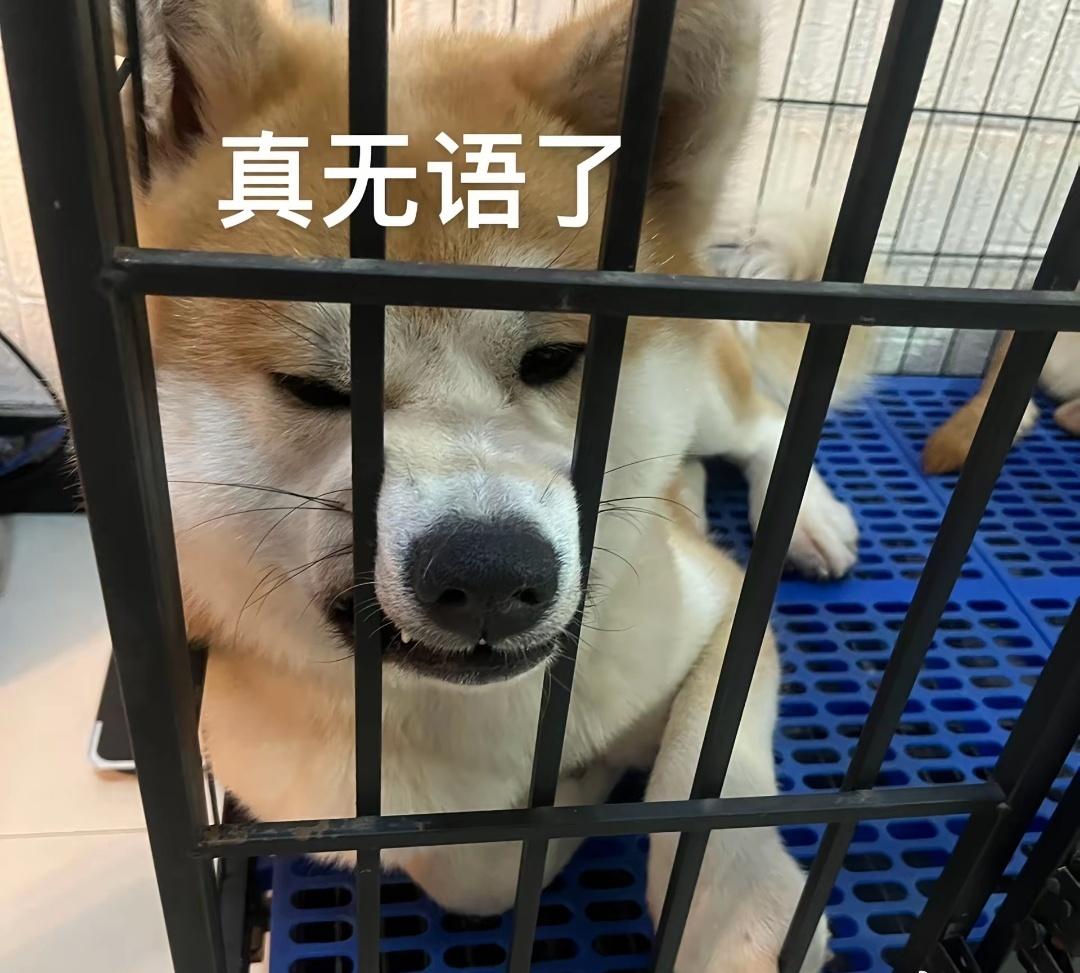 一天穿短袖，一天穿羽绒服，都不知道这个衣服该怎么穿 ​​​