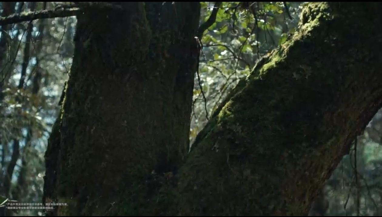 蒋奇明的VOTD穿搭真的太有格调了！完美诠释了什么叫“专业与时尚并存”。他把V单