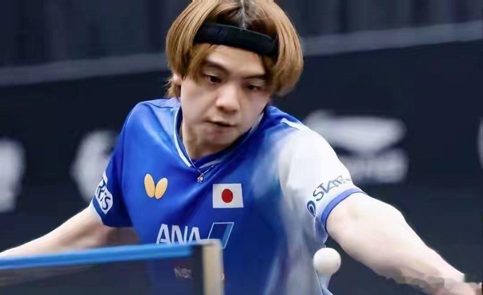13日WTT赛况：陈垣宇3-0打服日本冠军，陈熠逆袭，国乒迎3大喜讯北京时间6月