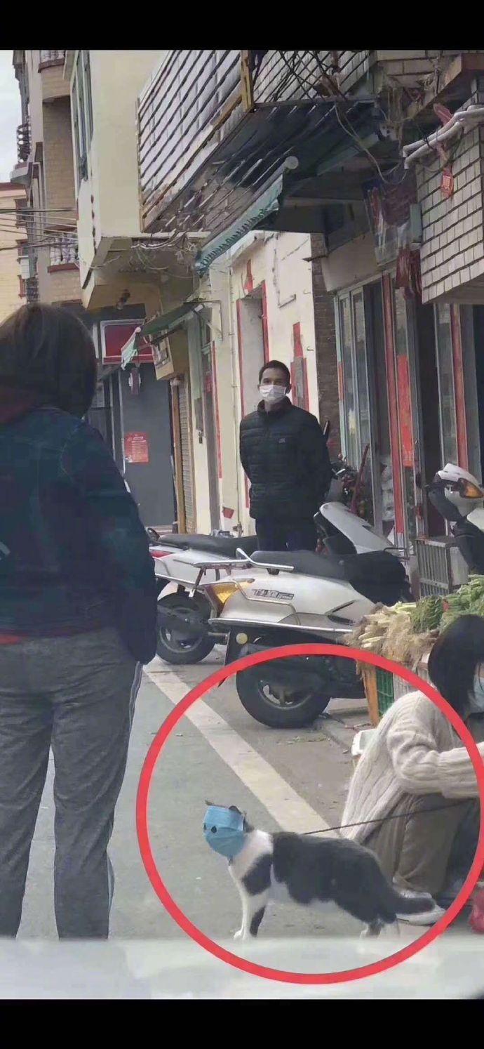 这口罩戴的有点过分安全了吧