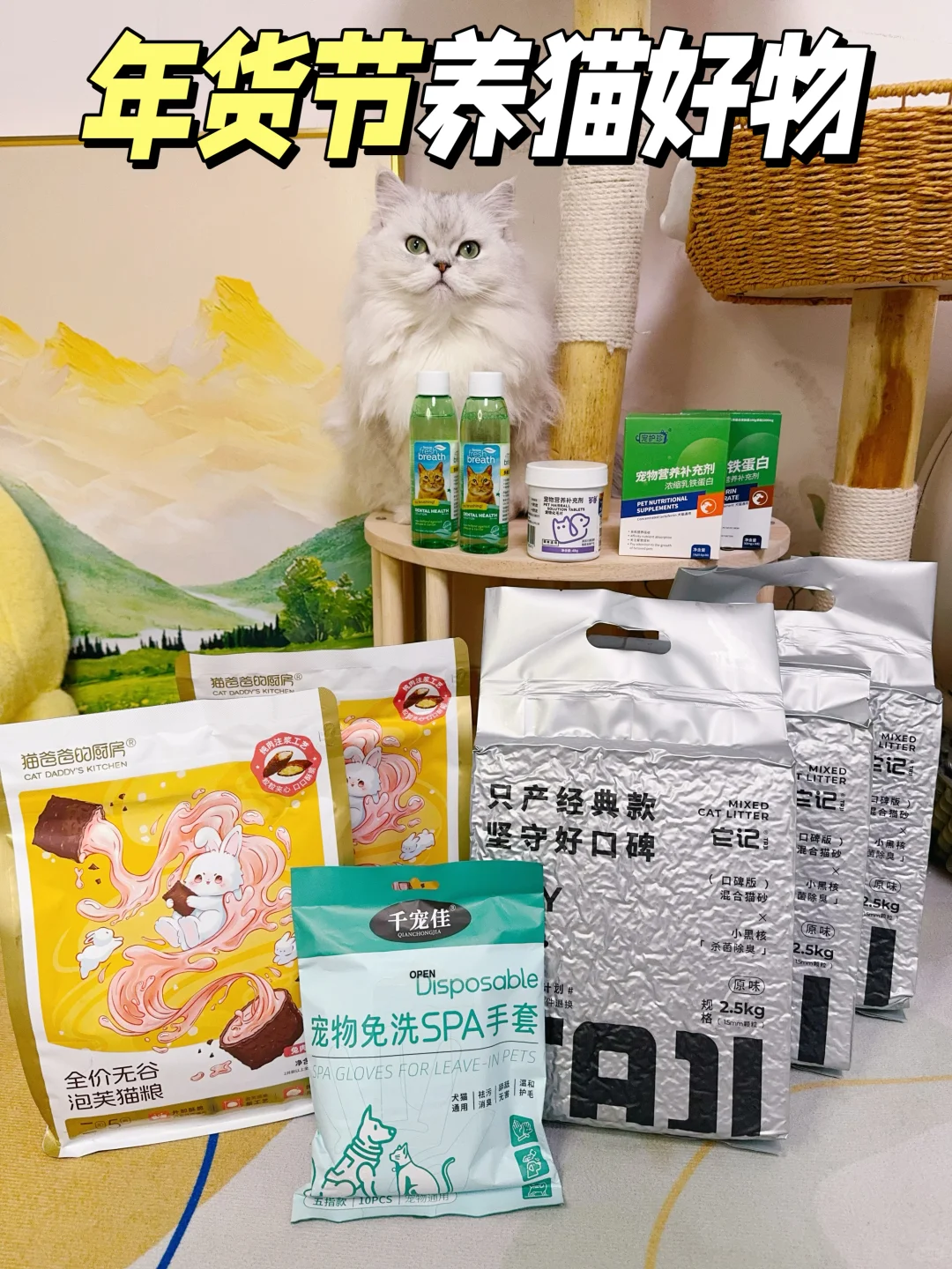 年货节┊养猫囤货攻略闭眼冲