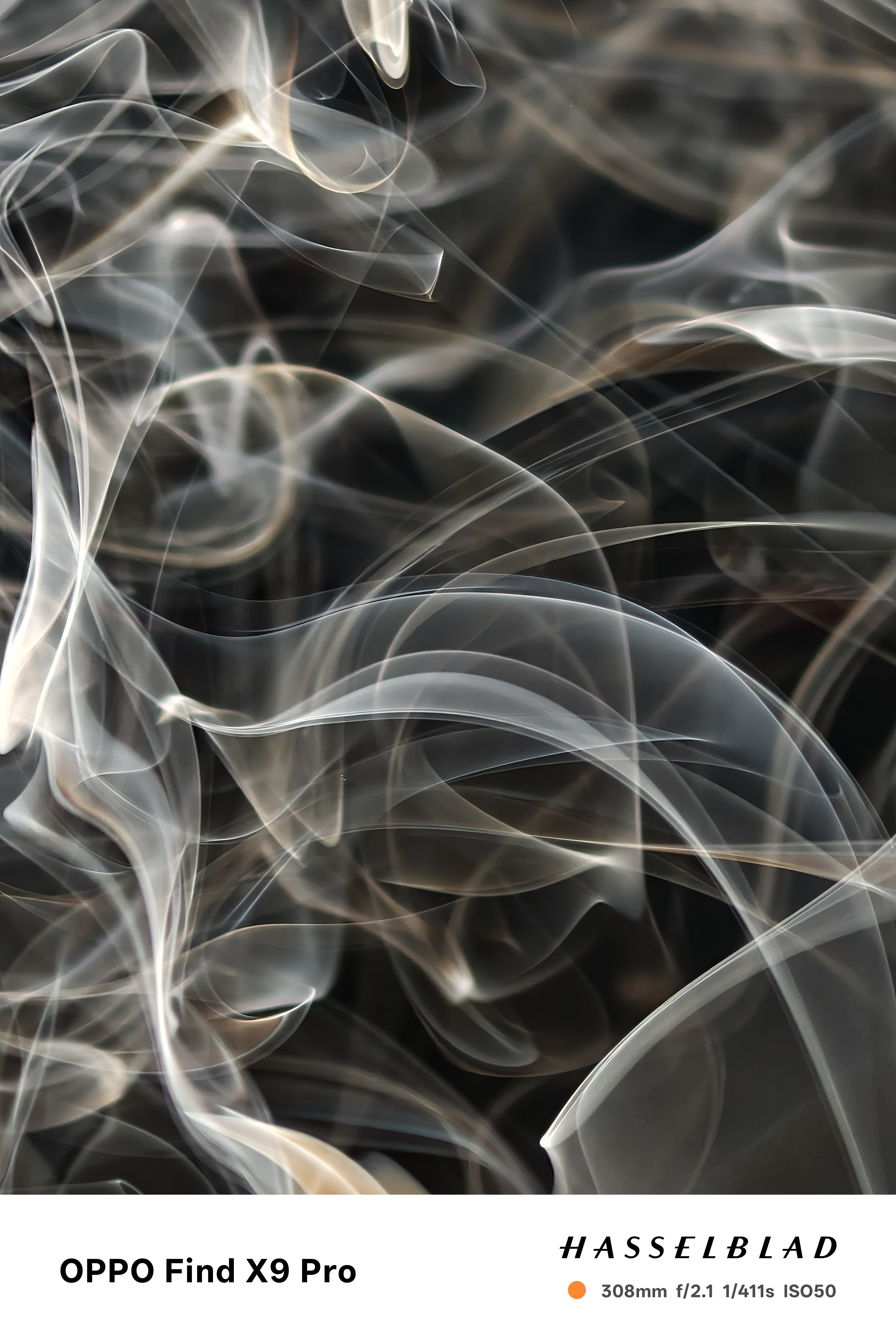 大家猜猜二姨拍的啥这是[doge] ​​​